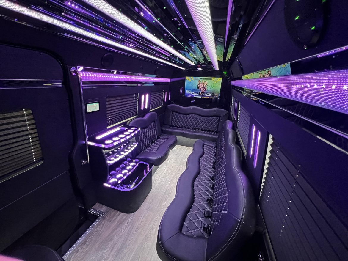 Executive Limousine